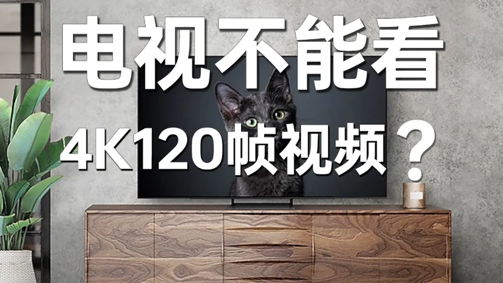 如何在电视上播放4K 120Hz片源