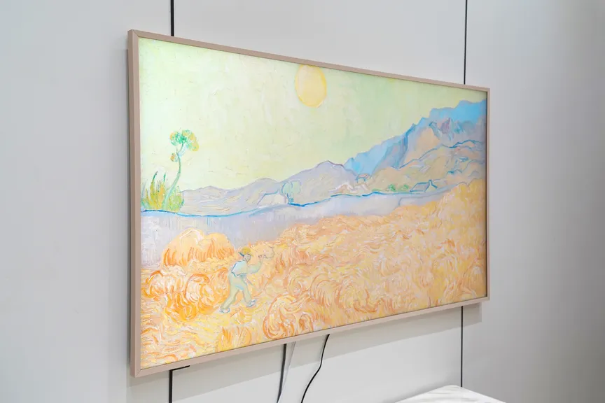 雷鸟青鸟壁纸电视65英寸