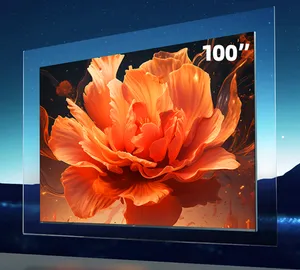 长虹100Q10R