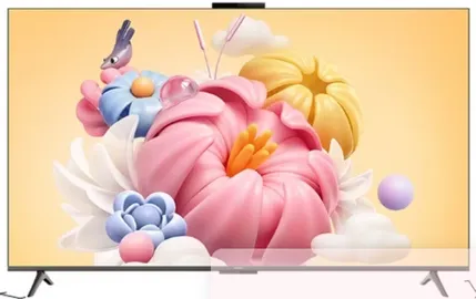 华为Vision6 SE 55英寸