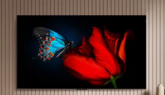 TCL 65T9G