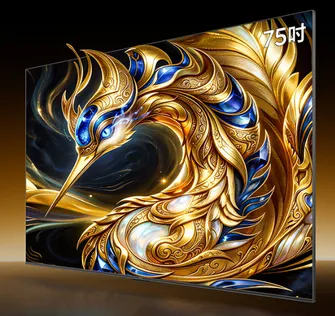 雷鸟鹤7 26款 75英寸